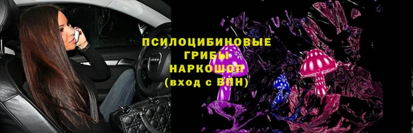 бошки Алексин