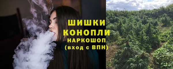бошки Алексин