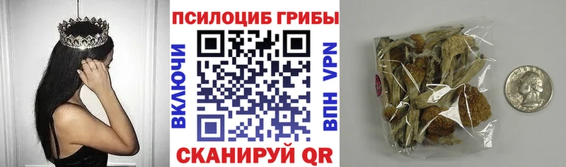 Псилоцибиновые грибы мицелий мориарти формула Чебаркуль